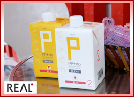 ���A���Ȋw