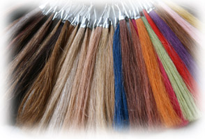 �J���[���{