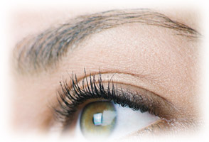 �܂�J�b�g�E�}�c�Q�p�[�}�C���[�W