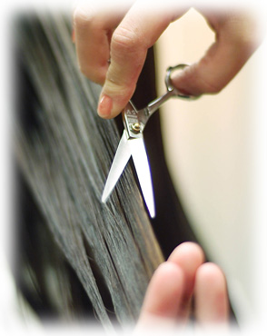 �J�b�g�C���[�W