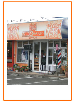 �V�U�[�n���Y�@�X�܎ʐ^