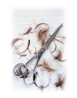 �J�b�g���[�W