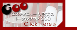 Total Salon GOO